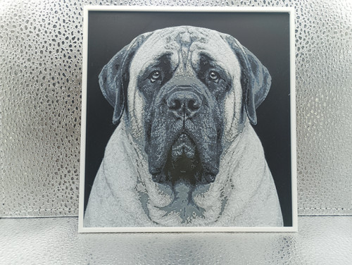 English mastiff hueforge - english,