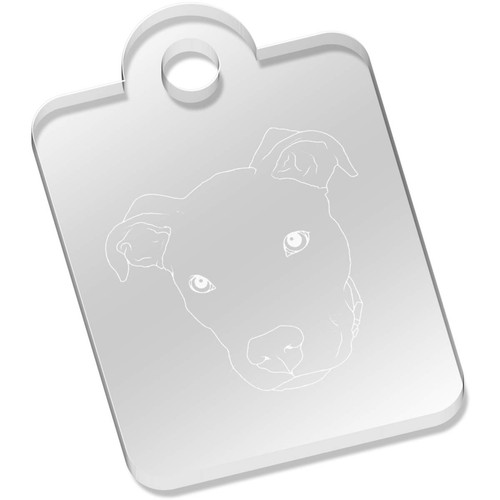 Pit bull terrier acrylic - 'pit,