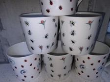 Rose Of England Fine Bone