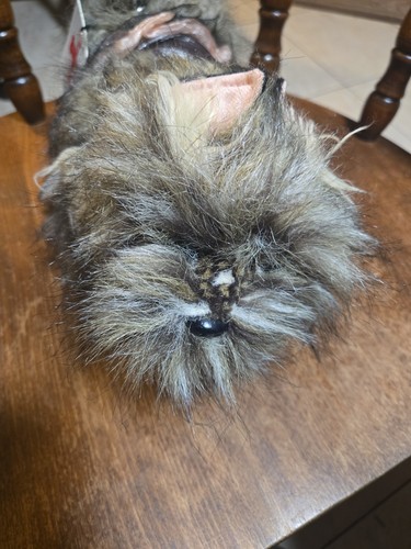 Yorkie fuzzy nation - fuzzy, puppy