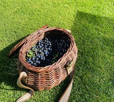 FROZEN SLOE BERRIES 1LB