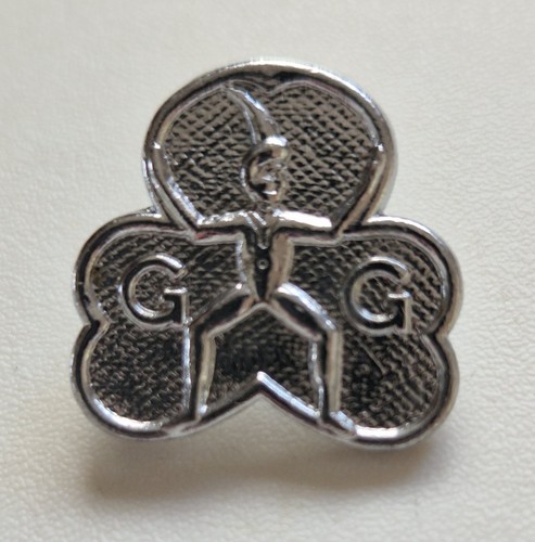 Girlguiding brownie enrolment - girlguiding,