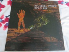 BIG SLEEP - BLUEBELL WOOD -