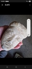 roman  marble head of a