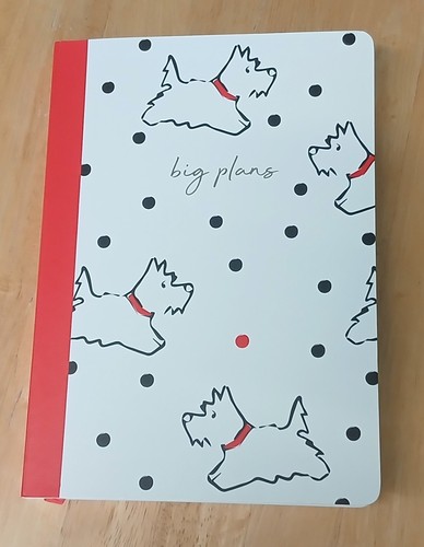 Radley big plans diary - plans,