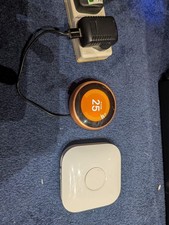 Google Nest Learning