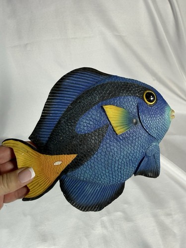 Colorful tropical blue tang - colorful,