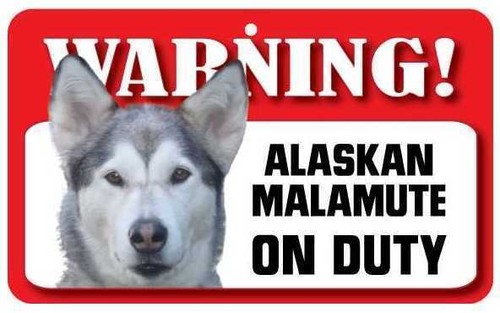 Alaskan malamute sign - malamute,