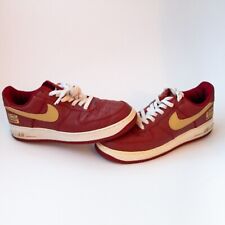 Lebron James Nike Air Force 1