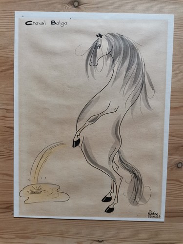 Nadine ramelot cheval belge - nadine, ramelot.