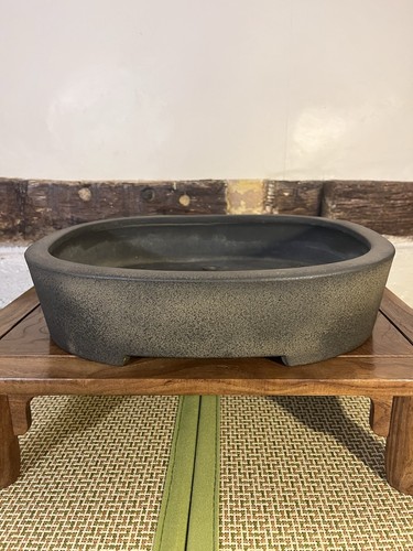 Aiba koyo bonsai - bonsai, pot