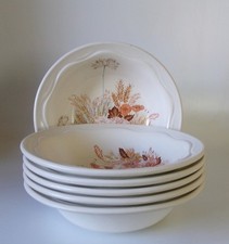 SIX POOLE SUMMER GLORY 150mm