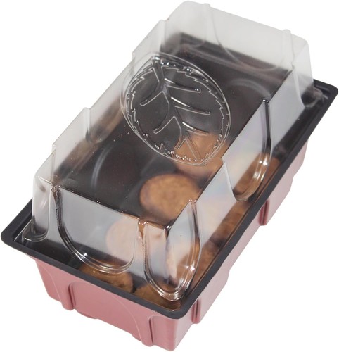 Windhager indoor greenhouse - indoor,