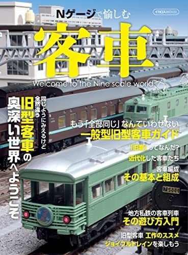 Gauge passenger train guide - n,