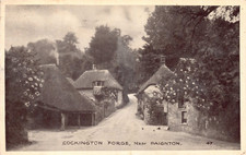 FAMILY HISTORY - GENEALOGY -