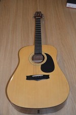 vantage vs-5 acoustic Guitar 