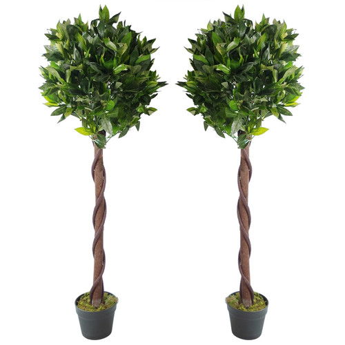 Pair 120cm twisted - of, (4ft)