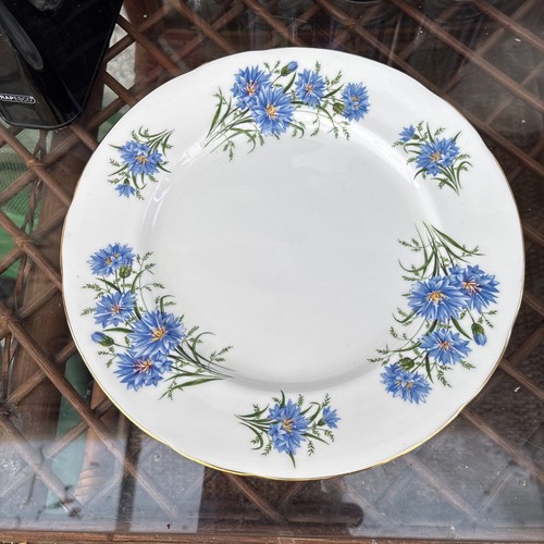 Large serving plate byqueen - large,