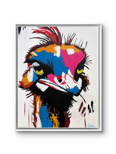 Colourful ostrich - x, 11,