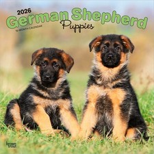 German Shepherd Puppies Calendar 2026 | Square 30cm x 30cm | 100% Plastic Free