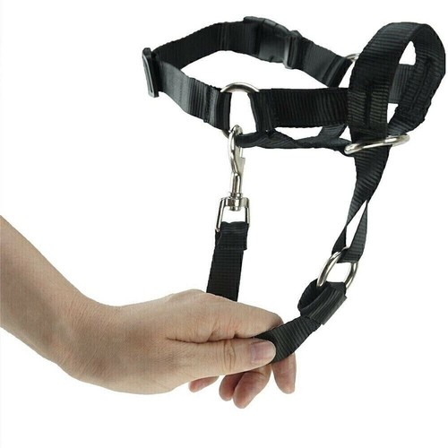 New head collar pet dog - head,