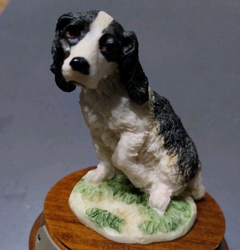 Leonardo spaniel puppy - ', puppy'