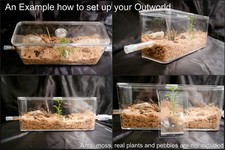 Natural Bio Ant Farm Ants Formicarium House Outworld Set Medium