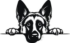 Personalised Puppy Dog " I