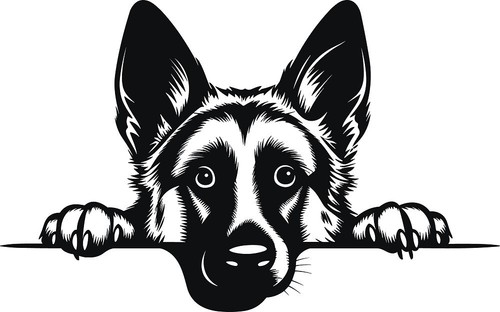 Personalised puppy dog i - dog,