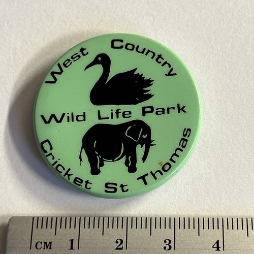 Vintage collectible pin badge - pin,