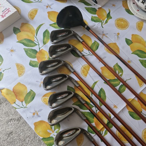 Ping g10 white dot - irons, set