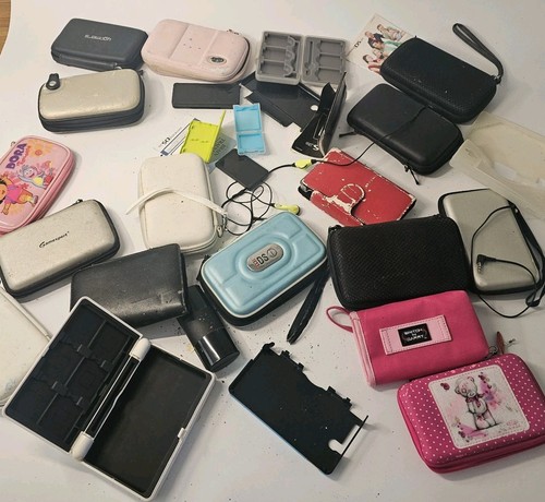 Nintendo accessories bundle - ds,