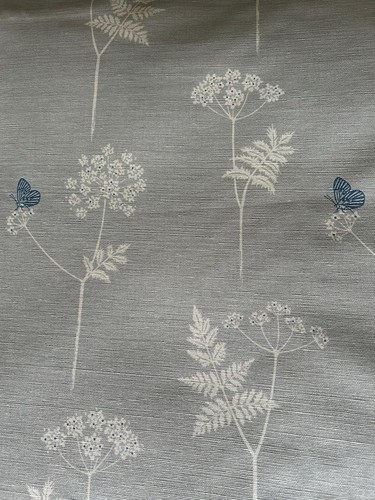 Vanessa arbuthnott cow parsley - arbuthnott,