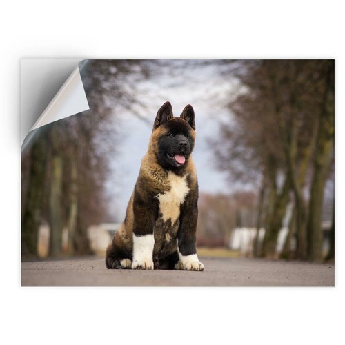 Vinyl sticker large - sticker,