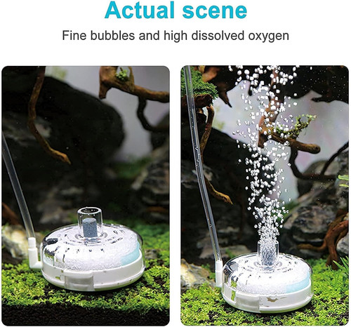 Mini aquarium sponge - mini,