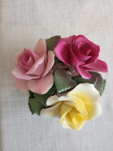 Staffordshire crown bone china - staffordshire,