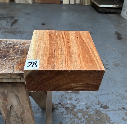 Tasmanian blackwood x 8 - x,
