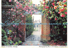 D002362 Bower of Camelias. Ardingly. Mrs. C. M. Heeson. Judges. West Sussex Fede