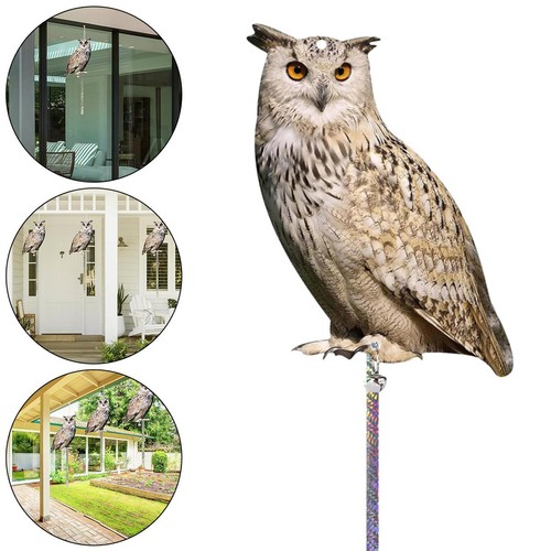 Realistic head statue owl - realistic,