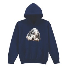 English setter puppy dog - setter,