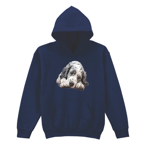 English setter puppy dog - setter,