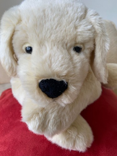 Andrex labrador puppy dog - labrador,