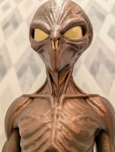 The watcher exclusive bronze - watcher, -exclusive