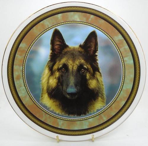 Dog plates choose your - dog,