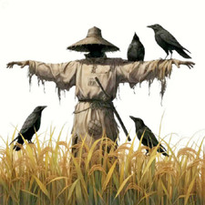 UNUSUAL RARE SCARECROW CROW