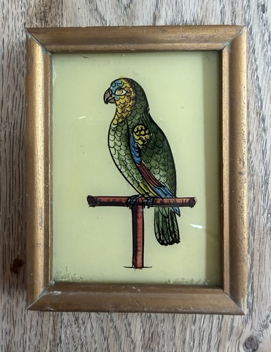 Parrot indian vintage reverse - parrot,