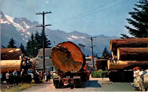 1956 oregon logging - oregon,