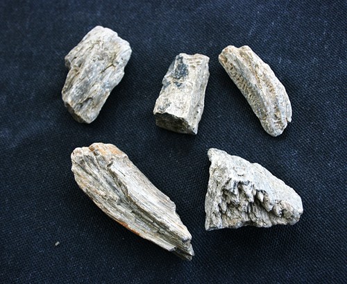Genuine natural petrified - natural,