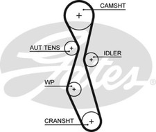 GATES 5606XS Timing Belt for