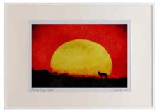 790039 Coyote, Southwest